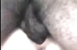 پورن جنسی شلخته با تجربه به طور گسترده گسترش پاها و نشان می دهد که بیمه گربه