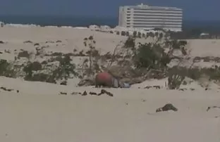 پورن جنسی سکس در خارج از منزل